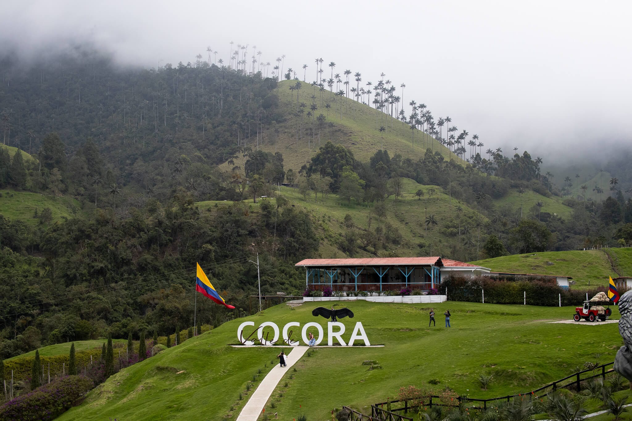 🏍️ Viaje en Motocicleta al Valle de Cocora: Un Paraíso en Colombia